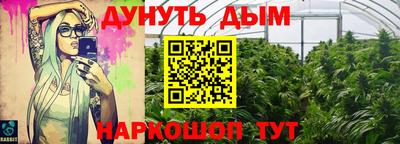 сатива Будённовск