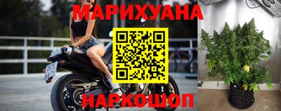 сатива Будённовск