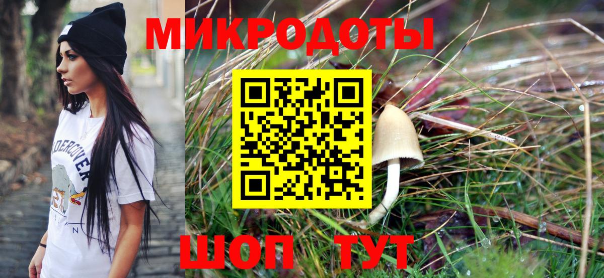Псилоцибиновые грибы прущие грибы Кушва