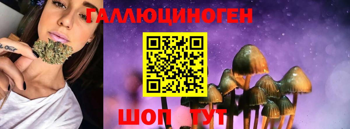 Псилоцибиновые грибы GOLDEN TEACHER  Галлюциногенные грибы мухоморы  Кушва  Вход с VPN 
